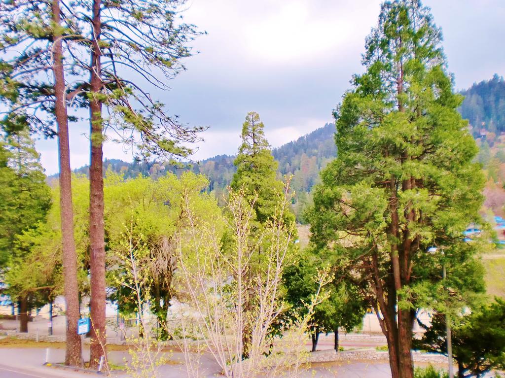 The North Shore Inn Crestline Экстерьер фото